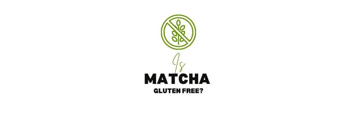 What is Matcha? Complete Matcha-Encyclopedia