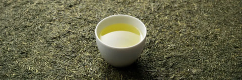 What is Sencha Tea Good For?