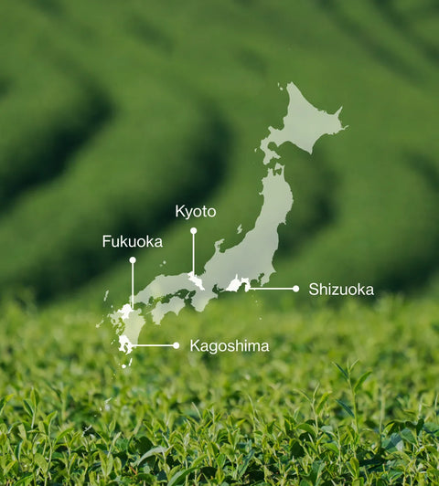 A green tea plantation in Japan with a translucent map overlay of the country and labeled regions including Kyoto, Fukuoka, Shizuoka, and Kagoshima.