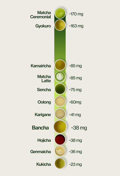 Caffeine level chart highlighting Bancha at ~38 mg per 5 g serving, compared with Kukicha ~23 mg, Genmaicha ~36 mg, Hojicha ~38 mg, Karigane ~41 mg, Oolong ~60 mg, Sencha ~75 mg, Matcha Latte ~85 mg, Kamairicha ~85 mg, Gyokuro ~163 mg and Matcha Ceremonial ~170 mg.