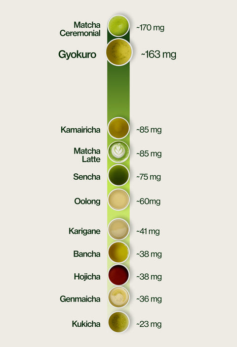 Caffeine level chart highlighting Gyokuro at ~163 mg per 5 g serving, compared with Kukicha ~23 mg, Genmaicha ~36 mg, Hojicha ~38 mg, Bancha ~38 mg, Karigane ~41 mg, Oolong ~60 mg, Sencha ~75 mg, Matcha Latte ~85 mg, Kamairicha ~85 mg and Matcha Ceremonial ~170 mg.