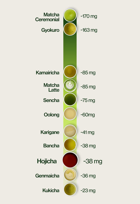 Caffeine level chart highlighting Hojicha at ~38 mg per 5 g serving, compared with Kukicha ~23 mg, Genmaicha ~36 mg, Bancha ~38 mg, Karigane ~41 mg, Oolong ~60 mg, Sencha ~75 mg, Matcha Latte ~85 mg, Kamairicha ~85 mg, Gyokuro ~163 mg and Matcha Ceremonial ~170 mg.