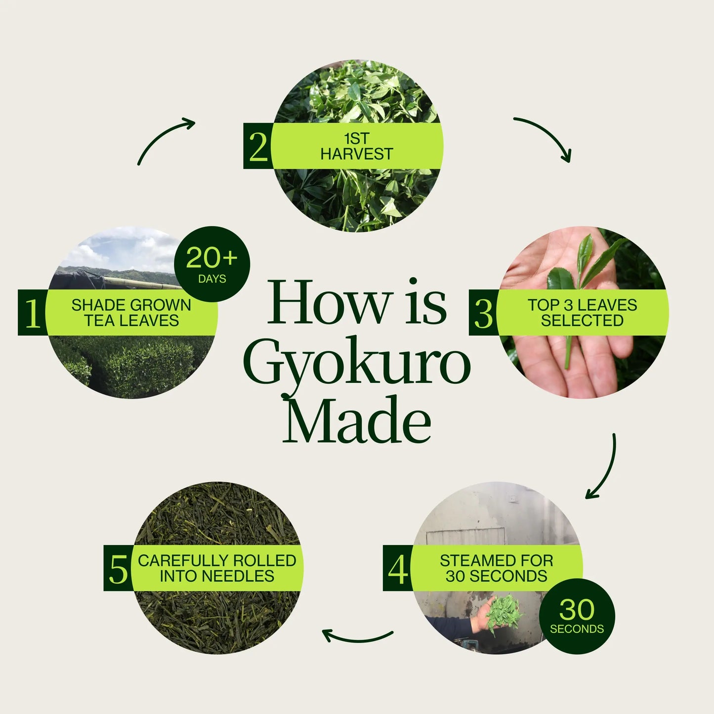 Gyokuro Sou Sakamoto