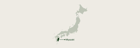 A minimalist map graphic of Japan on a light warm-gray background, with a dark green pin marking Miyazaki and the word 'Miyazaki' printed below.