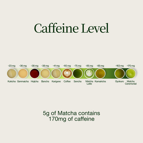 Matcha advent calendar 2026: caffeine per 5 g compared with coffee and other green teas