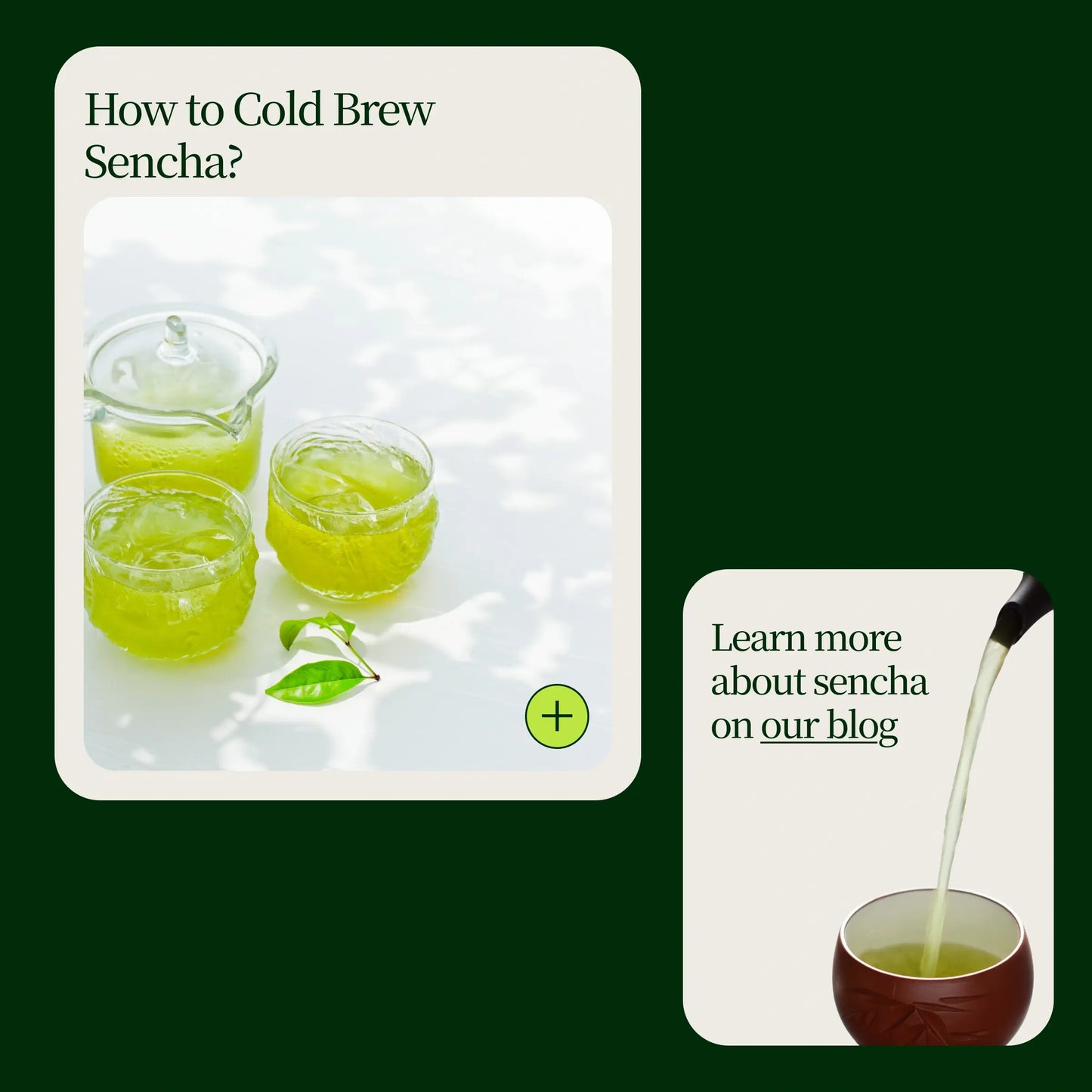 Sencha Kasugaen Asatsuyu