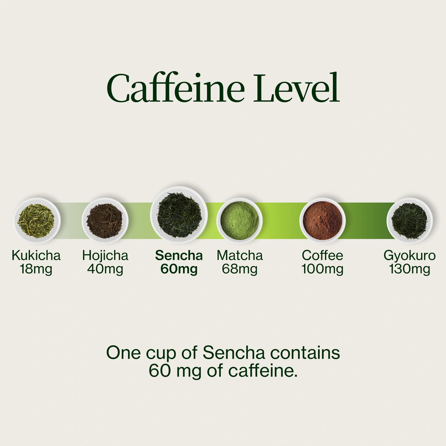Sencha Kasugaen Asatsuyu
