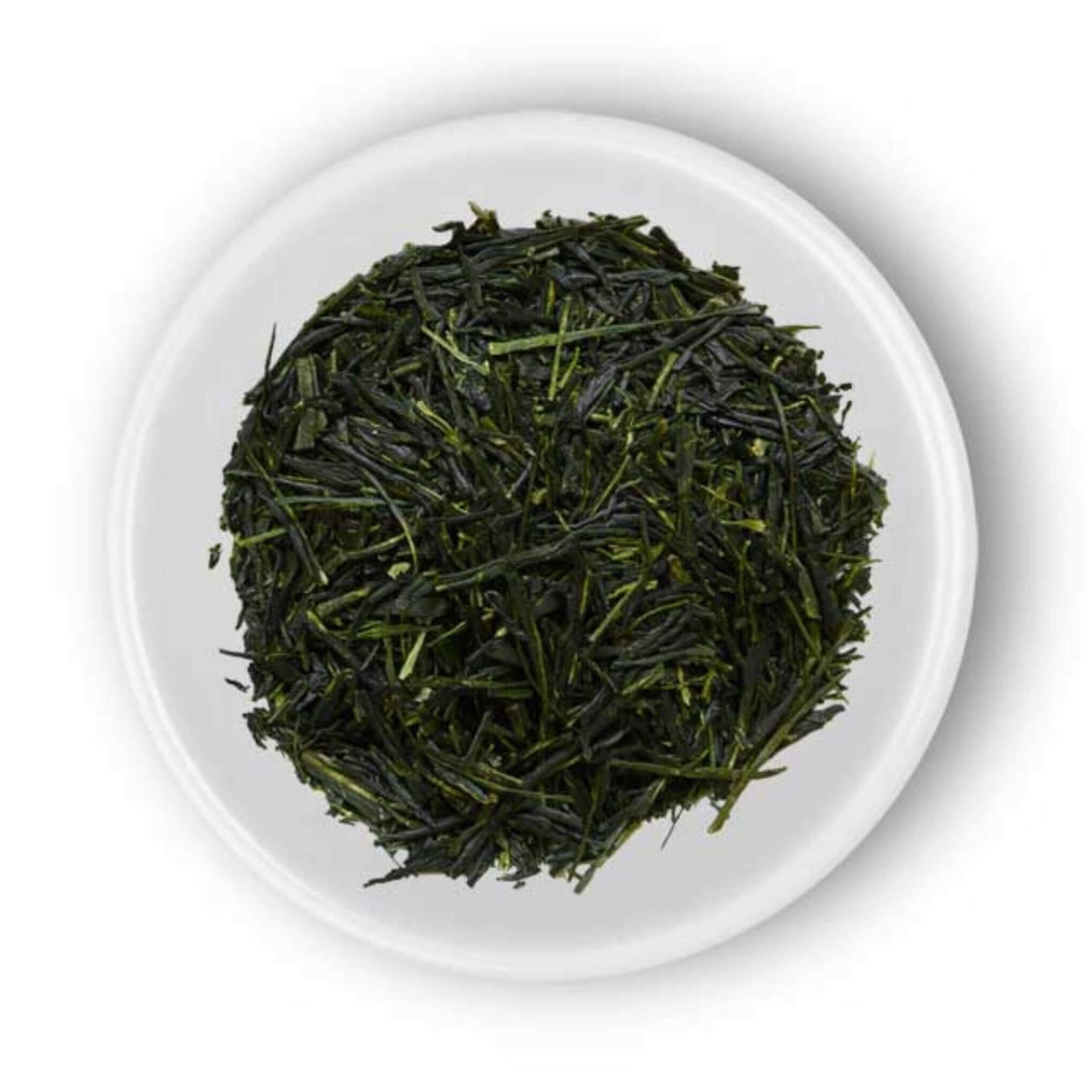 sencha sample