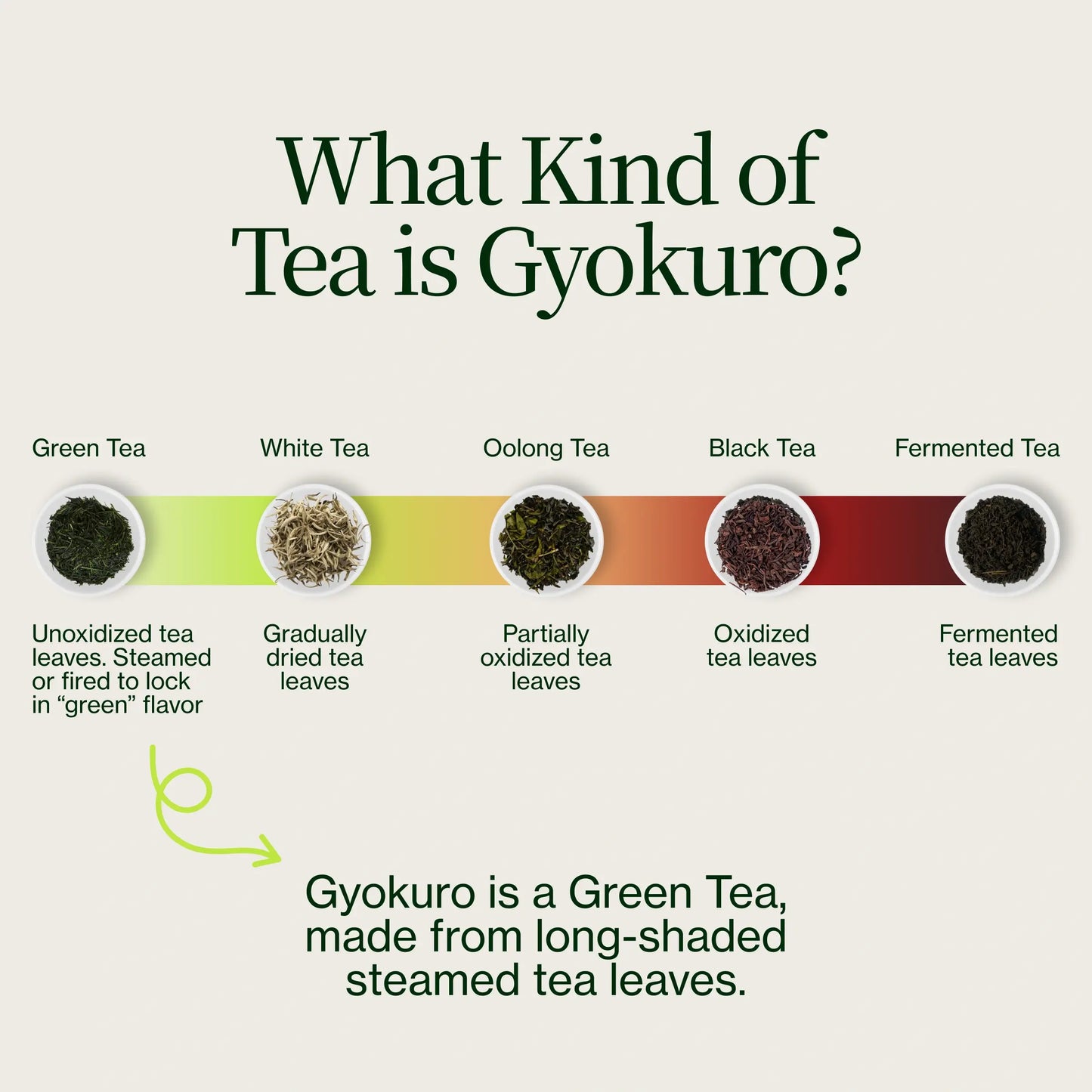 Gyokuro Sou Sakamoto