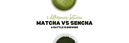 6 Differences Between Matcha vs Sencha