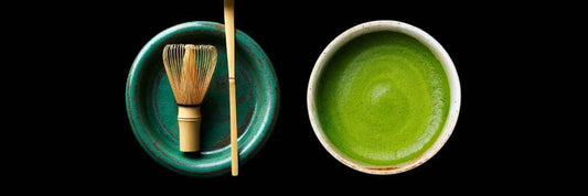 All About Koicha by Japanese Tea Experts