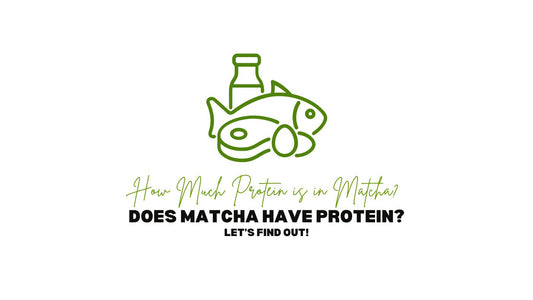 Does Matcha Have Protein How Much Protein is in Matcha