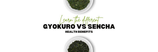 Gyokuro vs Sencha Health Benefits