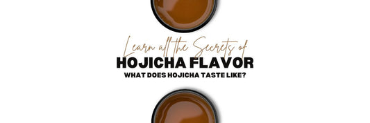 Hojicha Flavor learn what does Hojicha taste like