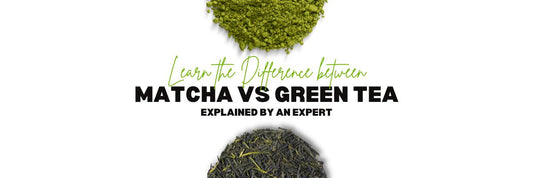 Learn the Difference between Matcha vs Green Tea