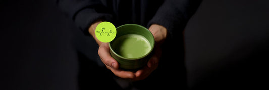 matcha green tea rich in l theanine shown with l theanine molecule