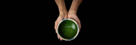What is Matcha