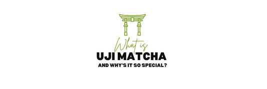 What is Uji Matcha and Why is it the Most Famous Tea