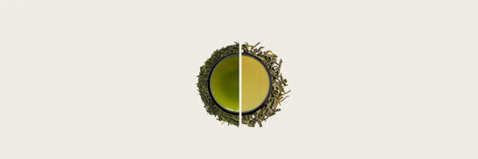 Chun Mee vs Sencha: A Green Tea Battle is Brewing