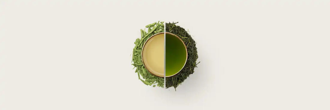 Dragonwell vs Sencha - A Battle of Steam and Fire