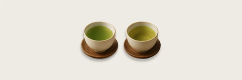 Kabusecha vs Gyokuro Green Tea: a Battle is Brewing