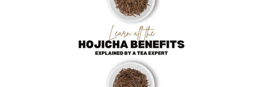 hojicha benefits complete article