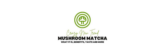 mushroom matcha blog banner with written crazy new trend mushroom matcha what it is benefits taste and more