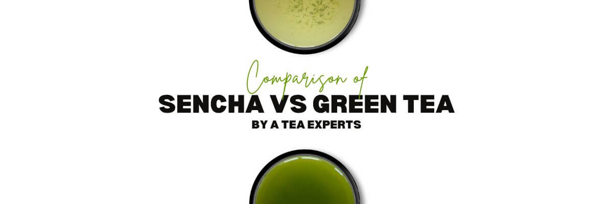 Comparison Of Sencha Vs Green Tea By A Tea Sommelier – Nio Teas