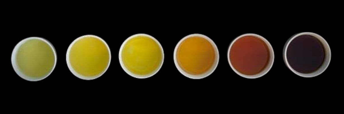 Your Guide to Tea Colors Explained by Experts – Nio Teas