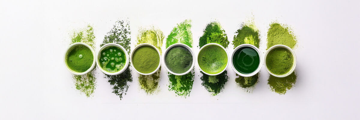 Macha Types Types of Matcha Explained by Region, Variety and Grade – Nio Teas