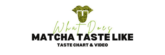 What does matcha taste like? Taste Chart with Video
