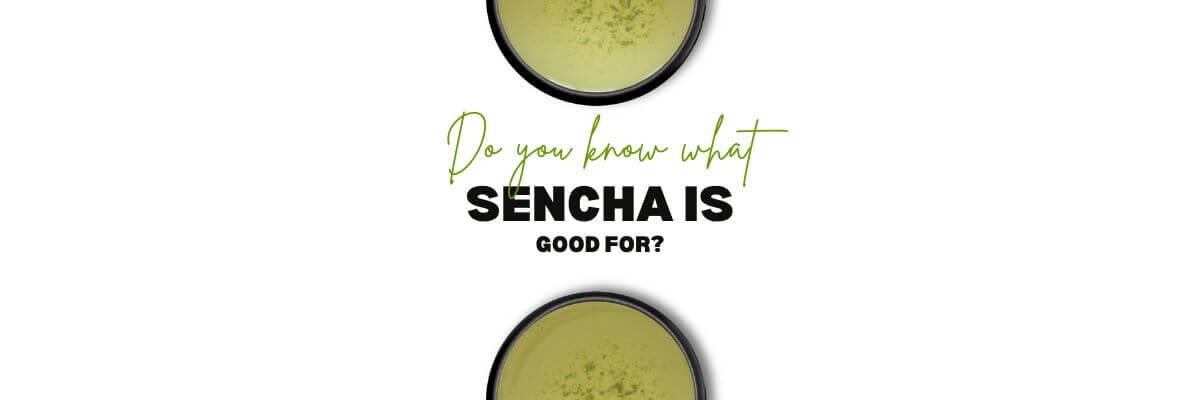 What Is Sencha Tea Good For And Why You Should Drink It Nio Teas 