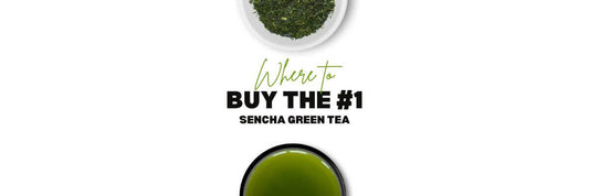 where to buy sencha tea