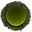 A cup of cloudy deep-green fukamushi sencha seen from above, ringed by finely broken leaves on a white background