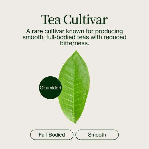 Wazuka Tea Nakai Superior