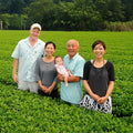 Chiran farmer family standing together in a lush green tea field, with one person holding a baby. The group is dressed in light-colored casual and work clothing, set against a background of dense trees.