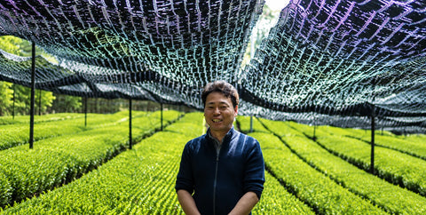Nakai, Nio Teas partner tea farmer in Wazuka, Japan