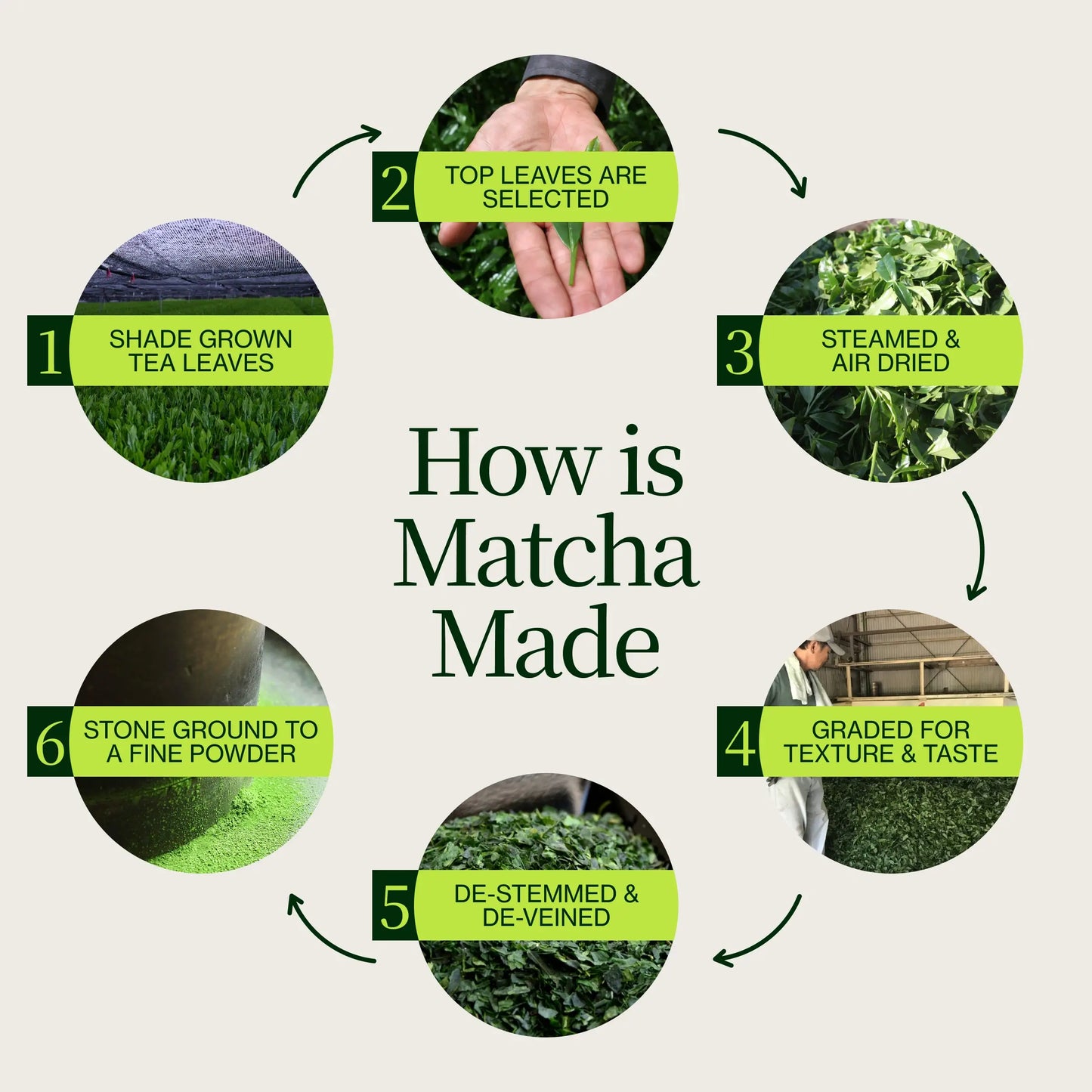 Washimine Ceremonial Matcha Tea