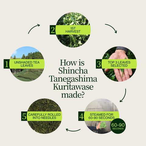 Shincha Tanegashima Kuritawase 2026