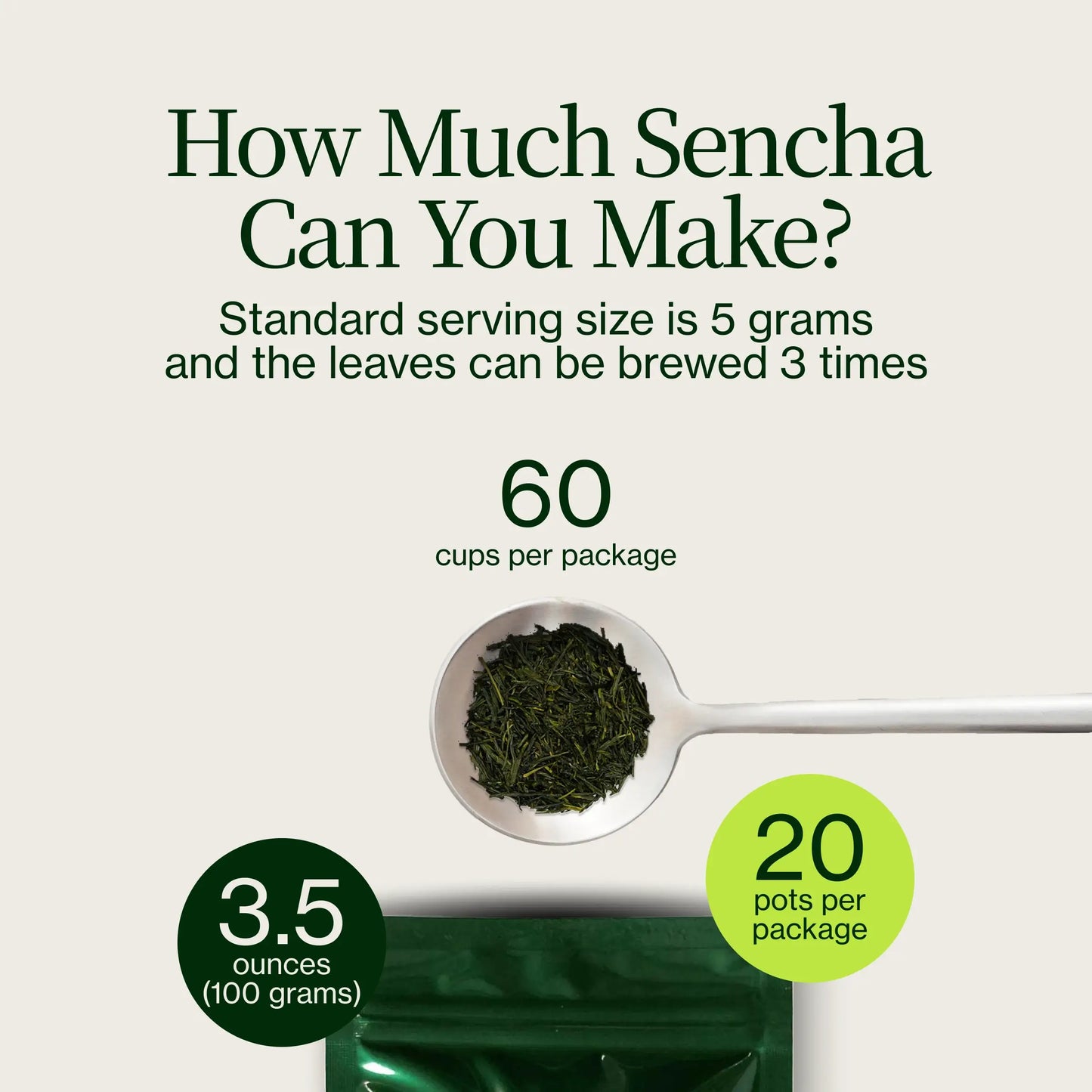 Tanegashima Saemidori Shincha
