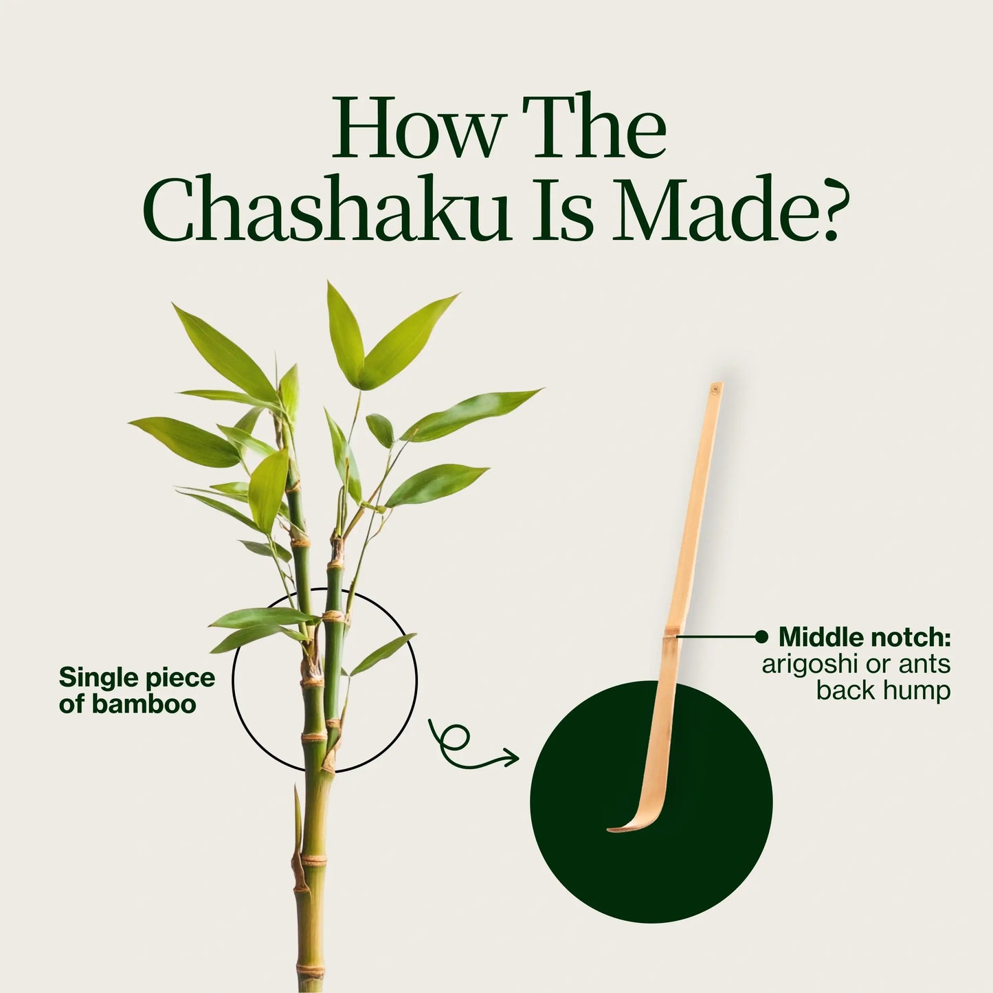 Chashaku Bamboo Spoon