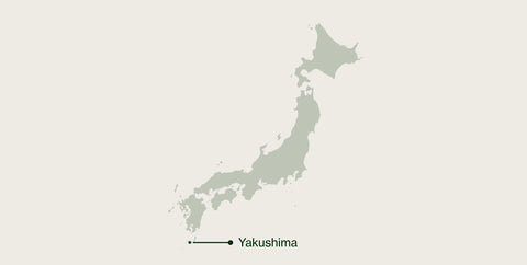 Map of Japan highlighting Yakushima island in Kagoshima Prefecture, where Nio Teas tea is grown