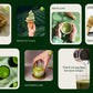 Matcha Tea Sampler 21 Pack with Matcha Whisk