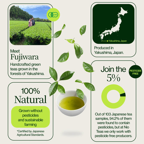 Shincha Yakushima Yabukita 2026