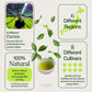 Green Tea Advent Calendar with Teapot