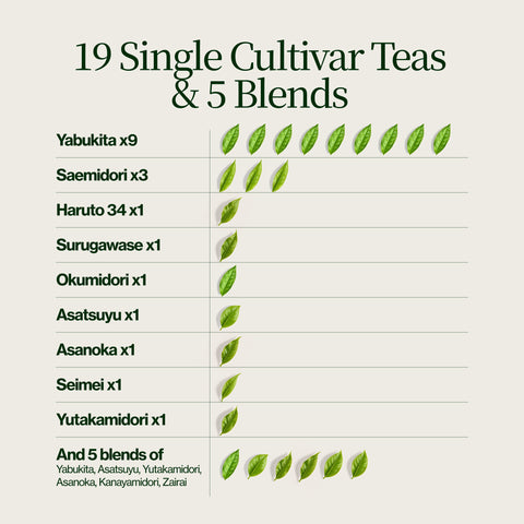 Tea advent calendar 2026: 19 single-cultivar teas and 5 blends
