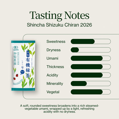 Shincha Shizuku Chiran 2026 with Matcha Powder