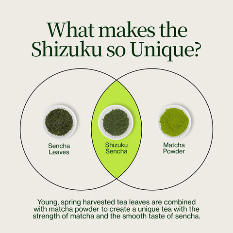 Sencha Shizuku with Matcha Powder