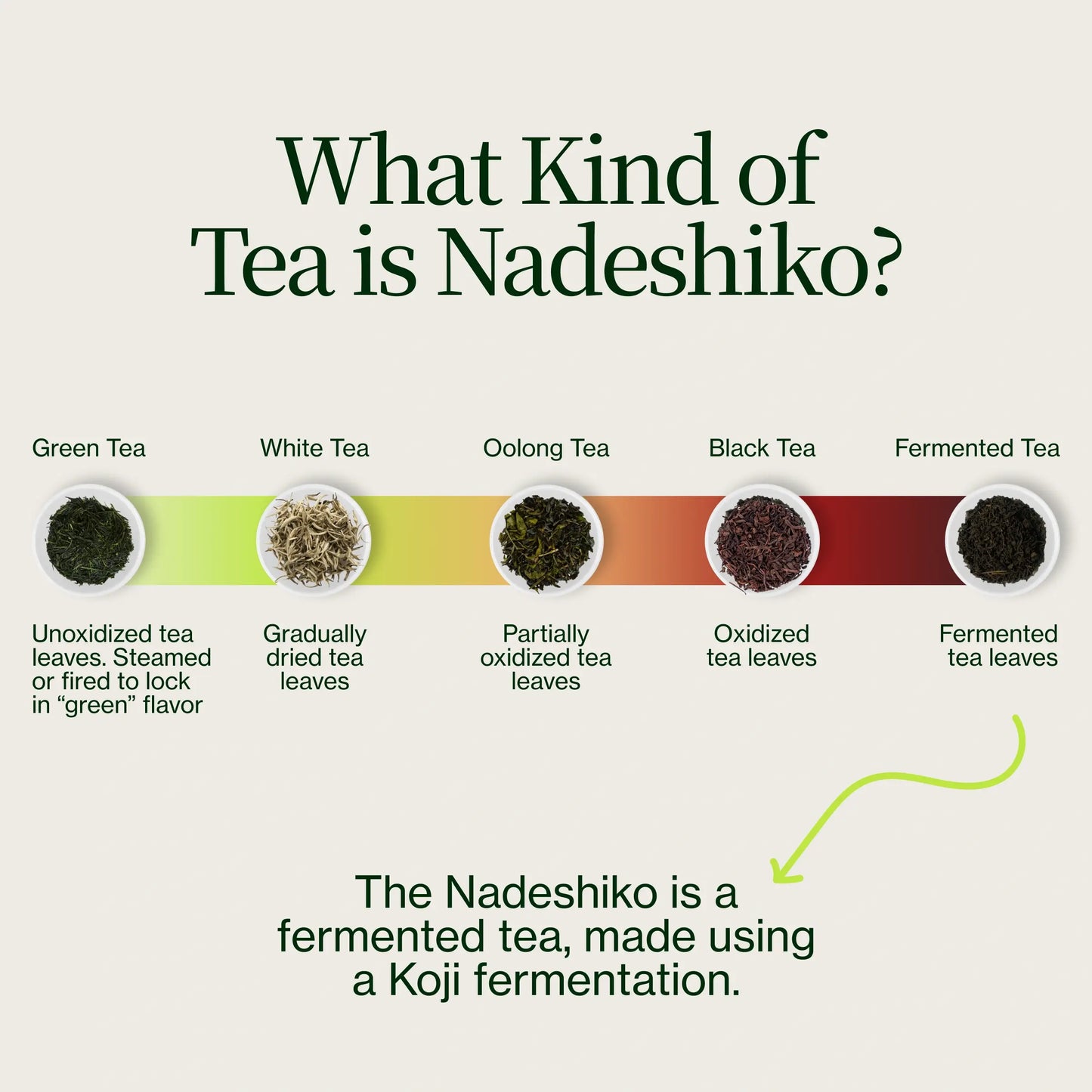 Nadeshiko Rose Japanese Fermented Tea