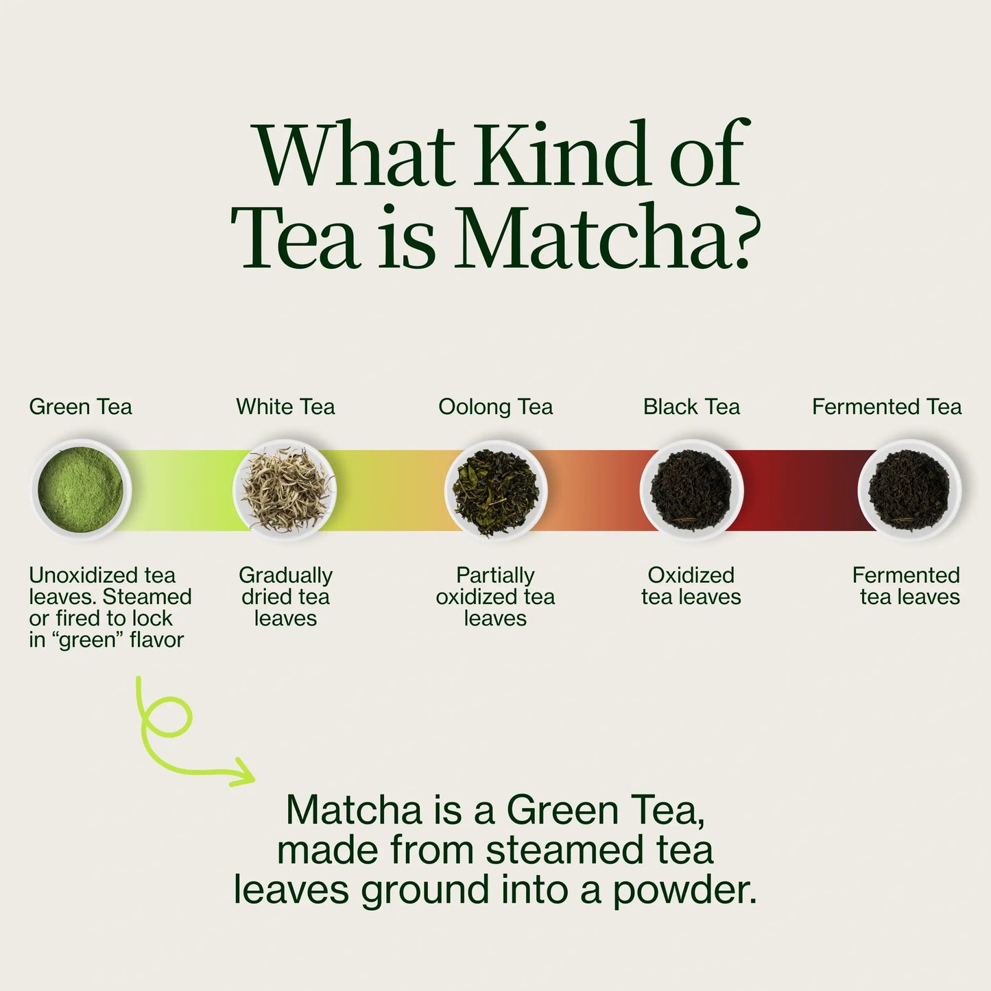 Matcha Tea Sampler 21 Pack with Matcha Whisk